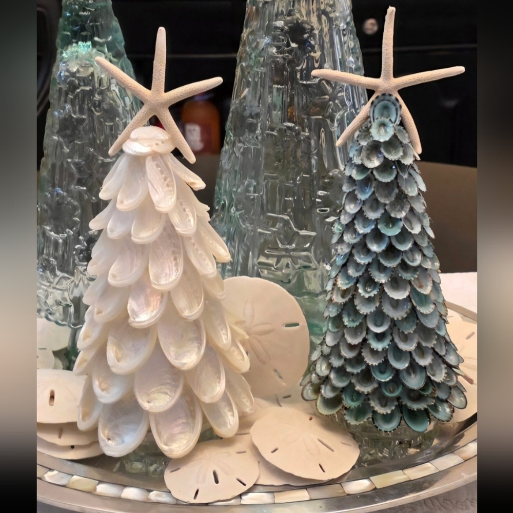 Sea shell Tree Decor Abalone OR Blue Limpet
